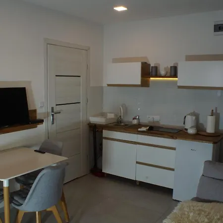 Apartment Orion